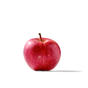 Bio Apfel